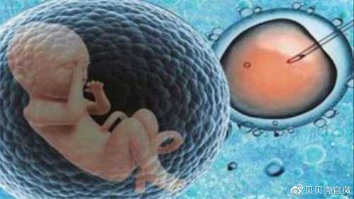 高龄女性卵巢早衰做三代试管几次可以成功？影响试管成功率因素有哪些？插图