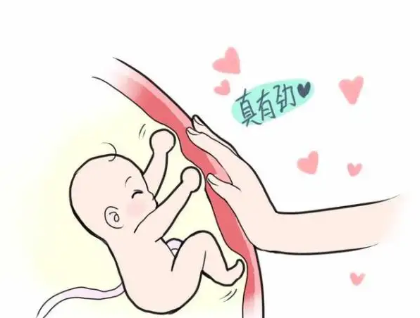 看胎动是不是正常需要注意哪些事项插图 1659594396462831.png