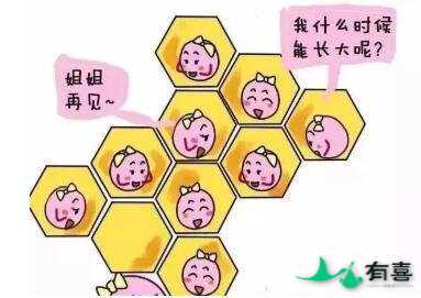卵巢过度刺激综合征是什么,哪些人易得?插图1 卵巢过度刺激综合征是什么,哪些人易得?插图1