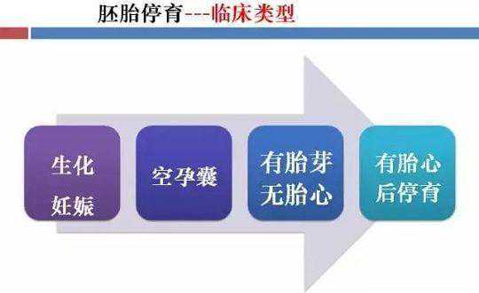 做试管婴儿胚胎停育、空孕囊，都是怎么一回事？插图1