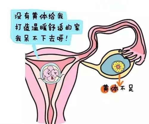 湖南私立试管婴儿医院能做试管选性别吗 做试管有哪些是要注意的插图 湖南私立试管婴儿医院能做试管选性别吗 做试管有哪些是要注意的插图