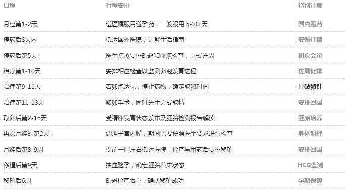 俄罗斯试管婴儿流程中的这些细节必须要知道插图3