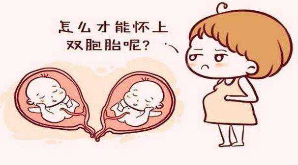 试管婴儿怎么做龙凤胎?三代试管是如何怀龙凤胎?插图 试管婴儿怎么做龙凤胎?三代试管是如何怀龙凤胎?插图
