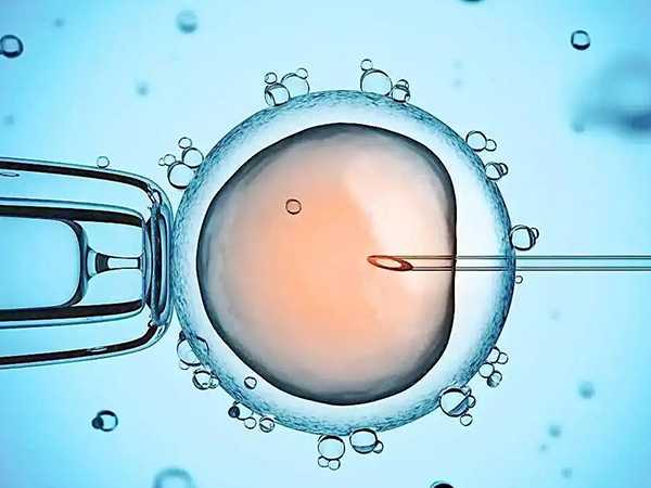 重庆有没有公立医院可以免费做试管?插图 1658156752080564.jpeg