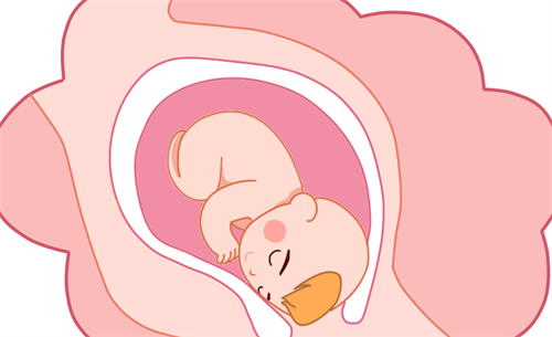 试管婴儿成功怀孕有什么症状?试管婴儿怀孕后注意事项插图1 undefined
