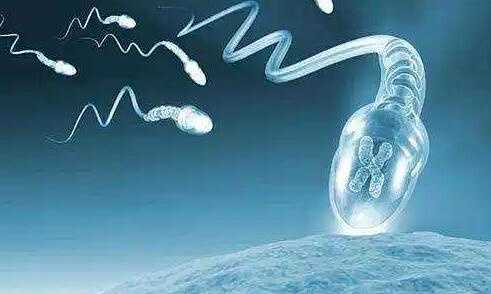 2024黄石私立医院供卵试管费用详解!附私立供卵机构排名插图 undefined