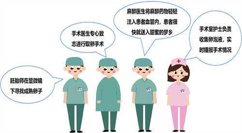 湖南中信湘雅医院有供卵储备吗？中信湘雅供卵都有哪些硬性条件？插图2