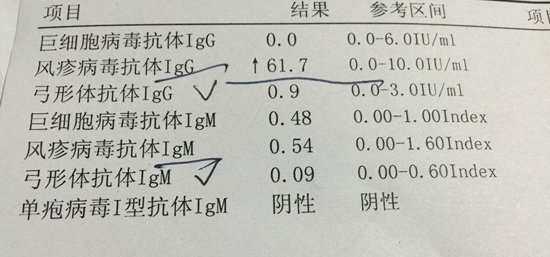 弓形虫抗体阳性怎么办?参考治疗方法看这里插图
