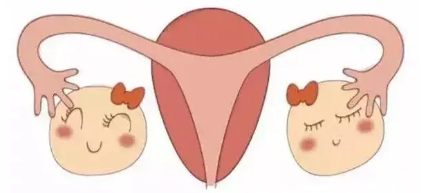 女性在日常生活中应该如何保养卵巢插图 1659752909208888.png