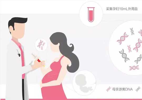 染色体检查有哪些?染色体要多少钱?插图