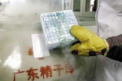 广州有没有正规精子库医院？广州有精子库吗？插图