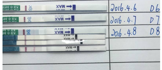 不看症状看血HCG值变化！冻胚移植第二十一天症状少不担心插图1