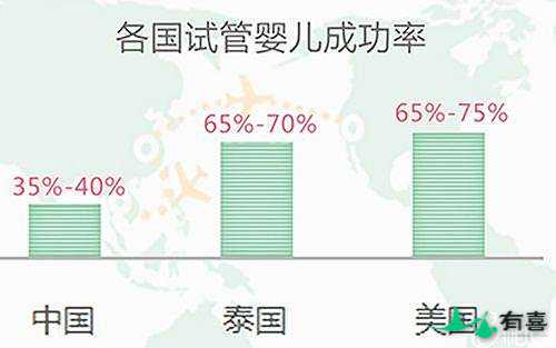 去乌克兰做试管婴儿要花多少钱插图
