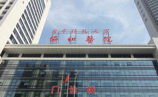 2024年武汉排名前五试管婴儿的医院?附武汉试管婴儿医院明细插图1 2024年武汉排名前五试管婴儿的医院?附武汉试管婴儿医院明细插图1
