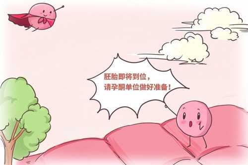 北京协和医院试管婴儿成功率高吗 试管婴儿的费用是多少?插图 北京协和医院试管婴儿成功率高吗 试管婴儿的费用是多少?插图