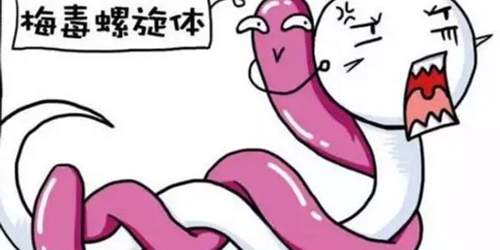梅毒抗体插图1