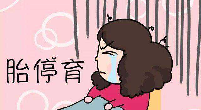试管婴儿孕期如何计算,教你3个锦囊防止胎停插图2 试管婴儿孕期如何计算,教你3个锦囊防止胎停插图2