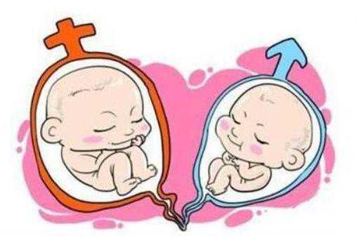 试管婴儿怀上儿子的征兆有哪些?插图 试管婴儿怀上儿子的征兆有哪些?插图