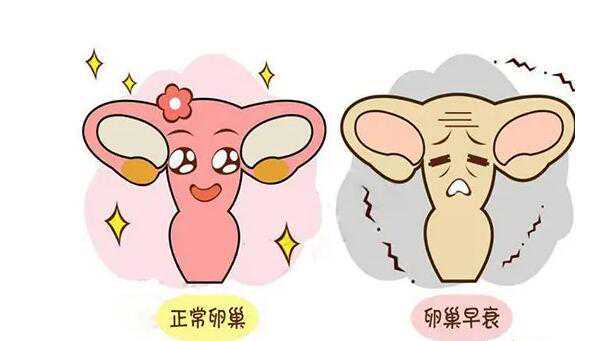 女性卵巢早衰可以通过试管助孕生孩子吗?插图 1658808220551108.jpeg