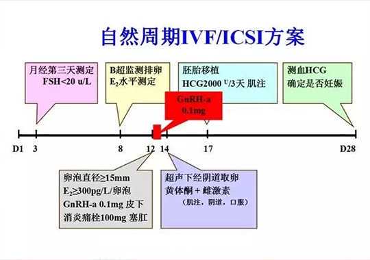 自然周期试管婴儿流程插图 自然周期试管婴儿流程插图