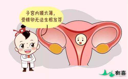 俄罗斯试管移植内膜厚度要达到多少插图