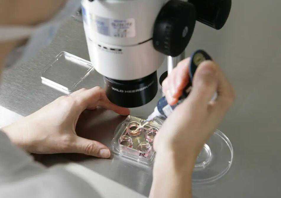 私立医院供卵大概要多少钱?附详细费用情况插图2 1657331361116177.jpeg