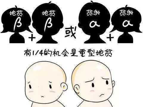地中海贫血做第三代试管婴儿成功率会高吗?插图 地中海贫血做第三代试管婴儿成功率会高吗?插图