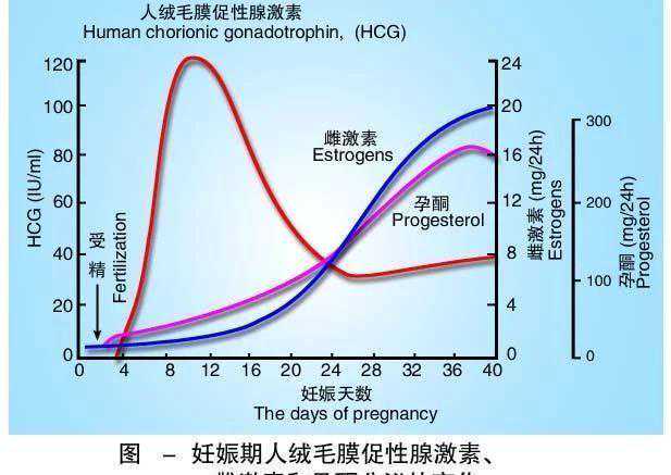 出现胎心胎芽还会胎停?这4个高风险因素不可不防!插图1 出现胎心胎芽还会胎停?这4个高风险因素不可不防!插图1