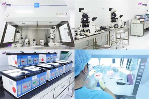 供卵试管婴儿费用贵吗 青岛大学附属医院和北医三院哪家要便宜插图 undefined