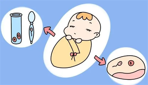 在临沂人民医院申请供卵试管婴儿流程是怎样的？临沂和济南可做试管的医院有哪些？插图