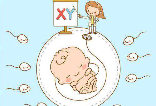 高龄女性备孕生男孩，是在强阳前还是强阳后同房？插图