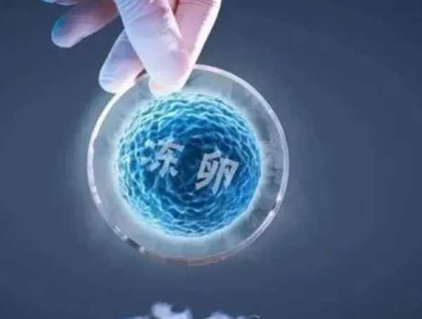 冷冻卵子有年龄限定吗?大龄女士赴泰国冻卵是不是行得通?插图 冷冻卵子有年龄限定吗?大龄女士赴泰国冻卵是不是行得通?插图