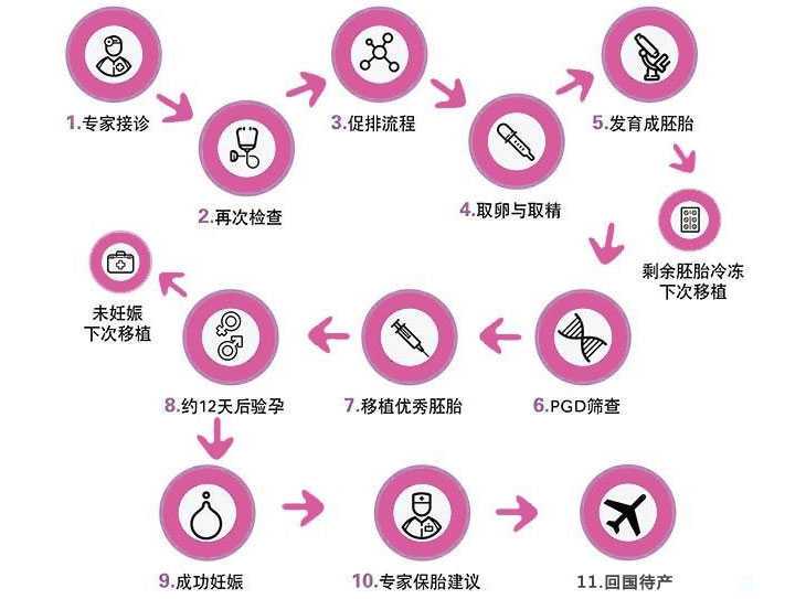 2024年泰国试管婴儿流程价格攻略插图1 2024年泰国试管婴儿流程价格攻略插图1