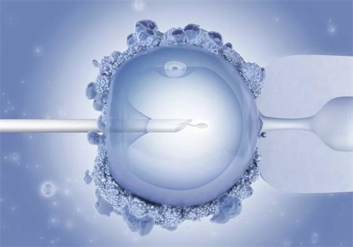 武汉三代试管包生男孩价格3万是真的吗?武汉试管怎么选择医院?插图 武汉三代试管包生男孩价格3万是真的吗?武汉试管怎么选择医院?插图