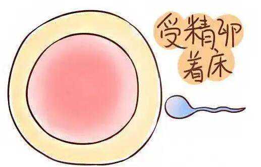 卵泡成熟障碍怎么治疗?做试管能生孩子吗?插图2 1660102971029197.jpeg