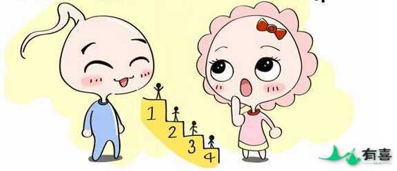 美国试管婴儿中介机构怎么选择插图