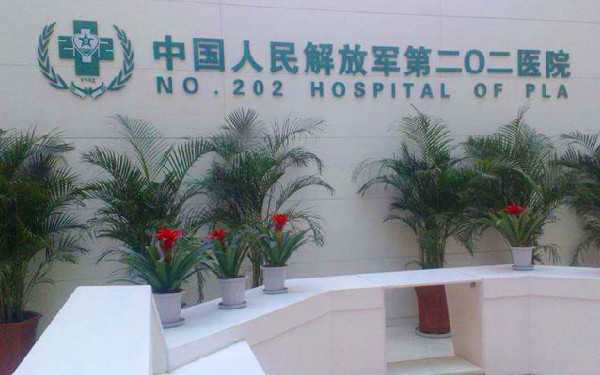 沈阳202医院试管婴儿成功率高吗?技术怎么样?插图 沈阳202医院试管婴儿成功率高吗?技术怎么样?插图