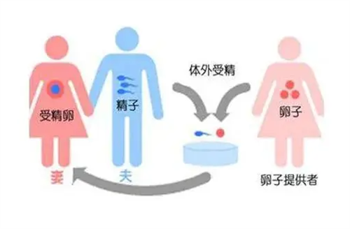 广东韶关有做供卵试管的医院吗 附广东深圳三代试管医院推荐插图 广东韶关有做供卵试管的医院吗 附广东深圳三代试管医院推荐插图