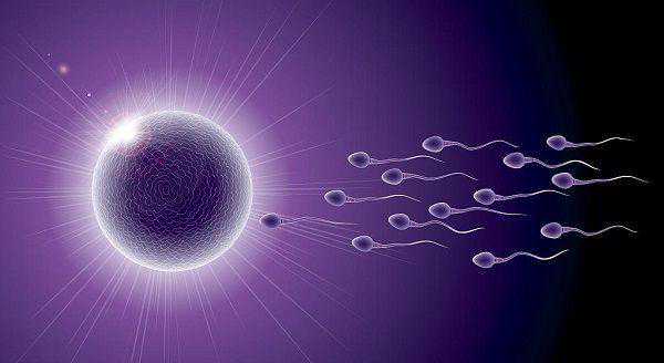 备孕知识大扫盲:A级精子不及格怀孕生娃力不从心插图 备孕知识大扫盲:A级精子不及格怀孕生娃力不从心插图