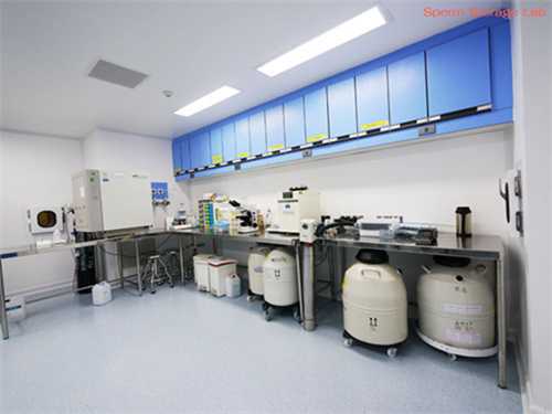 泰国试管冻卵费用多少插图2 泰国试管冻卵费用多少插图2