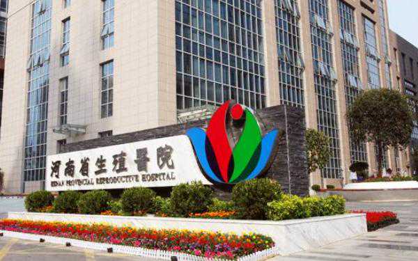 河南省人民医院生殖中心试管婴儿成功率多高？插图1