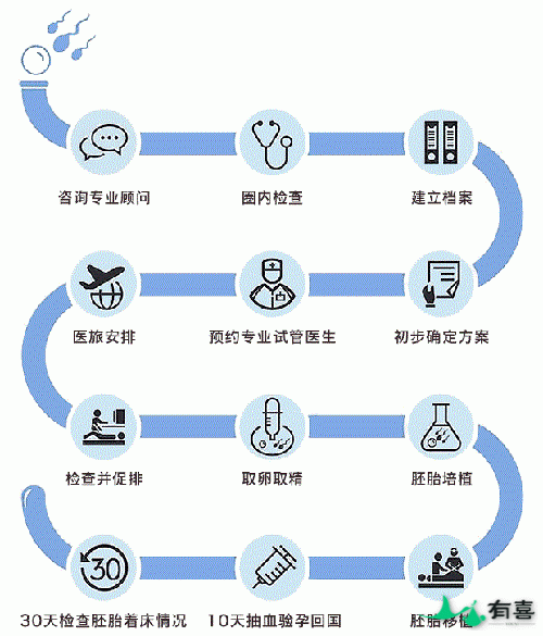 马来西亚试管婴儿流程及周期安排插图 马来西亚试管婴儿流程及周期安排插图