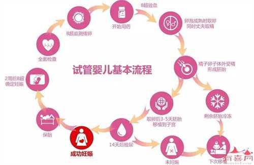 做供卵试管怀孕产检时还需要做羊水穿刺检查吗?供卵试管需要多长时间?插图 做供卵试管怀孕产检时还需要做羊水穿刺检查吗?供卵试管需要多长时间?插图