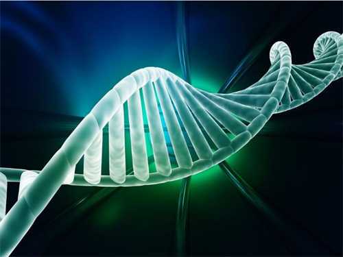 临沂2024供卵试管机构最新排名公布!附试管价格明细一览插图 undefined