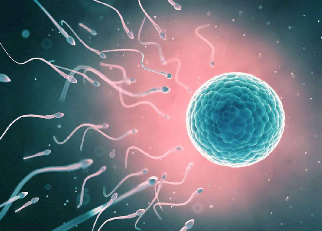 北京家恩德运可以做供卵试管吗?北京家恩德运做供卵怎么样?插图 北京家恩德运可以做供卵试管吗?北京家恩德运做供卵怎么样?插图