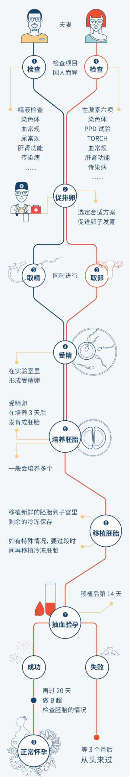 试管婴儿怎么做的全过程插图