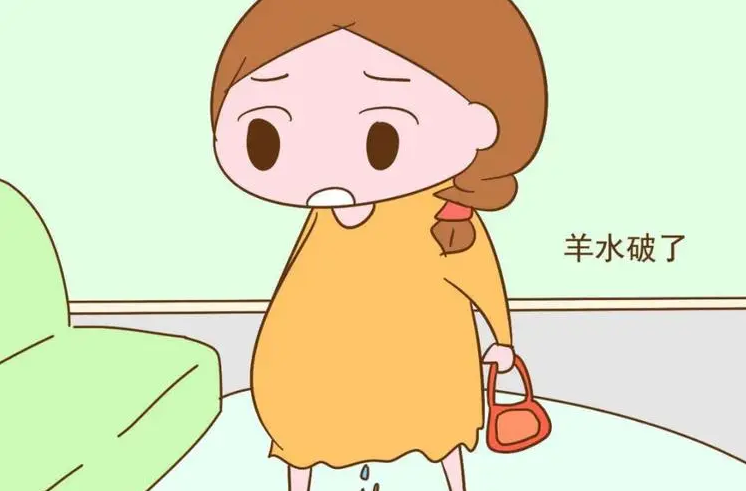 羊水破了之后多久会生?羊水破了需要注意些什么插图 1659470450602805.png