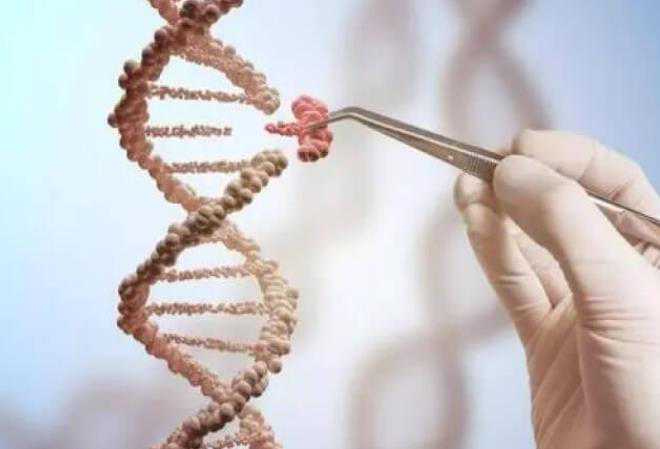 南昌妇幼保健院可以做三代试管婴儿吗?成功率如何?插图 1659251752106575.jpeg