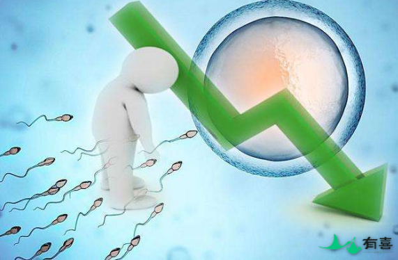 男性精子质量差,备孕如何提升精子质量?插图 男性精子质量差,备孕如何提升精子质量?插图