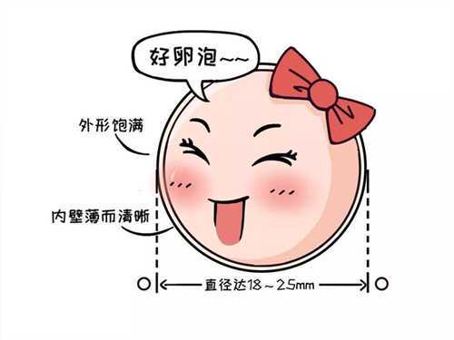 国内私人实验室做三代试管选择性别可靠吗?国外公立医院做三代试管可以选择性别吗?插图 国内私人实验室做三代试管选择性别可靠吗?国外公立医院做三代试管可以选择性别吗?插图